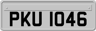 PKU1046