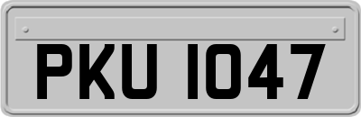 PKU1047