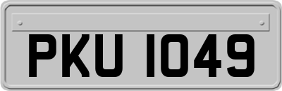 PKU1049