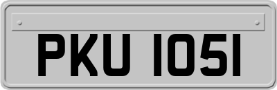 PKU1051