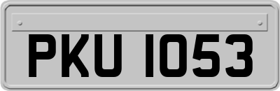 PKU1053