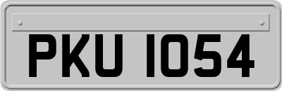 PKU1054
