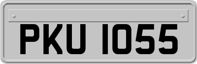PKU1055