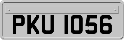 PKU1056