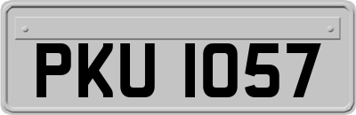 PKU1057