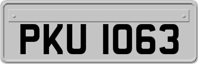 PKU1063
