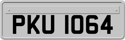 PKU1064