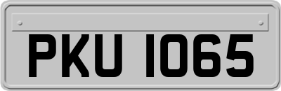 PKU1065