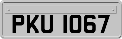 PKU1067