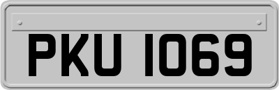PKU1069