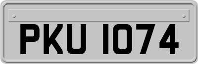 PKU1074