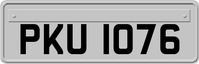 PKU1076