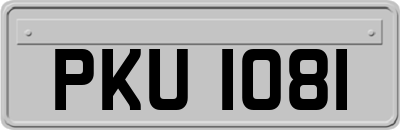 PKU1081