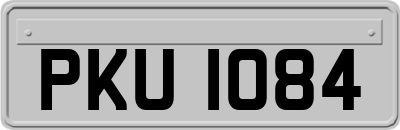 PKU1084
