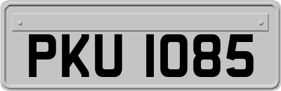 PKU1085
