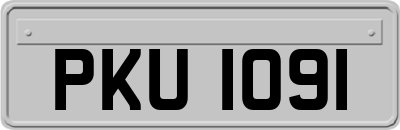 PKU1091