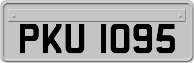 PKU1095