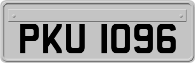 PKU1096