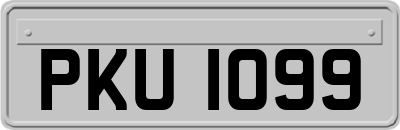 PKU1099