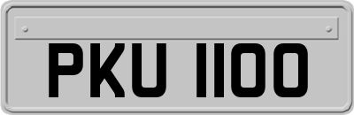 PKU1100