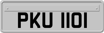 PKU1101