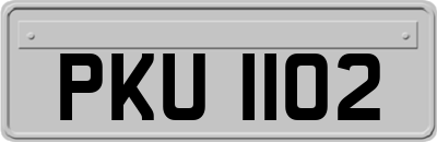 PKU1102