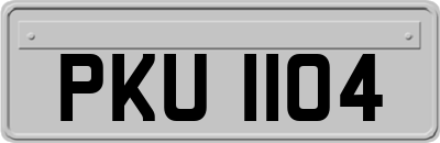 PKU1104