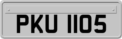 PKU1105