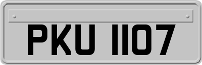 PKU1107
