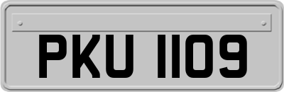 PKU1109