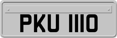 PKU1110