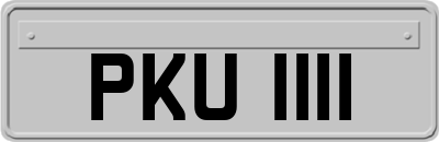 PKU1111