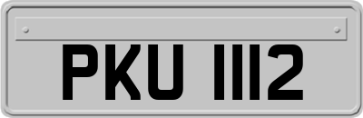 PKU1112