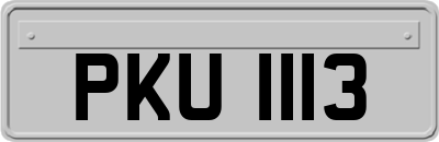 PKU1113