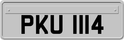 PKU1114