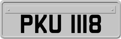PKU1118