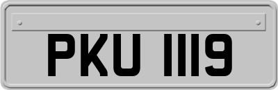 PKU1119