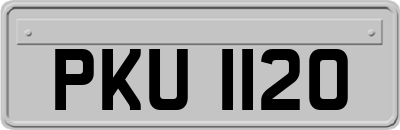 PKU1120
