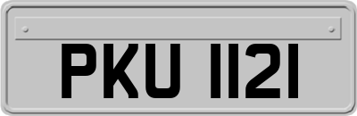 PKU1121