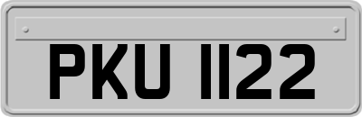 PKU1122