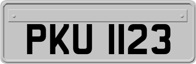 PKU1123