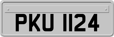PKU1124