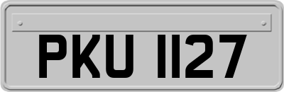 PKU1127