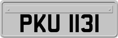 PKU1131