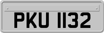 PKU1132