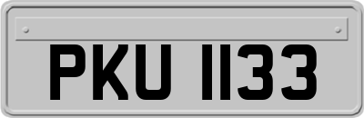 PKU1133