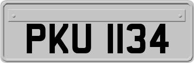 PKU1134