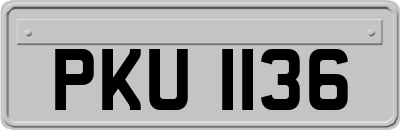 PKU1136