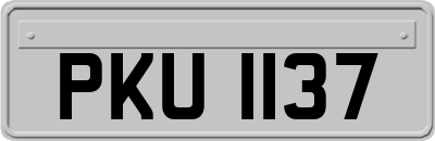 PKU1137