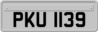 PKU1139